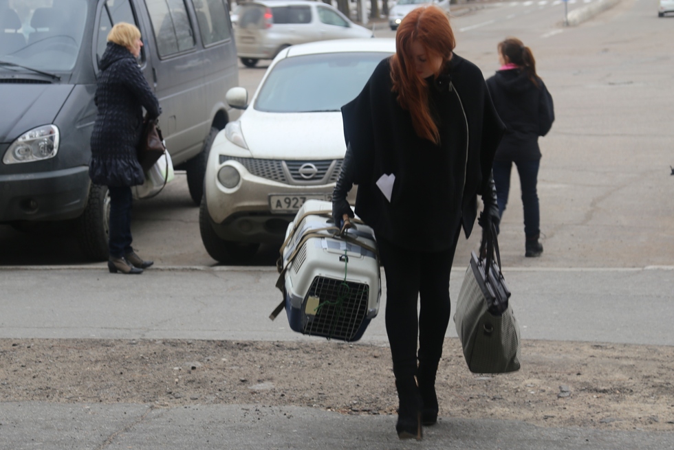 Полет медвежонка Маши из Хабаровска в Москву